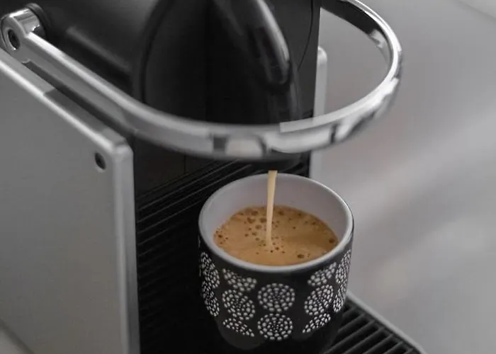 Le Coq Wagner - Parking - Air Conditioning - Pool Apartament Mentona